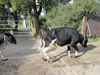 Ferme de Coubertin à Saint-Rémy-lès-Chevreuse