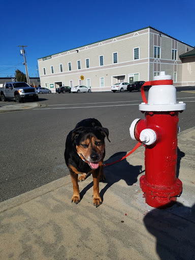Pet Supply Store «Mini Pet Mart», reviews and photos, 815 S Broadway, Coos Bay, OR 97420, USA