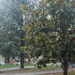 Photo n°2 de l'avis de Dave.a fait le 20/06/2019 à 19:10 sur le  Hotel Bella Italia à Peschiera del Garda