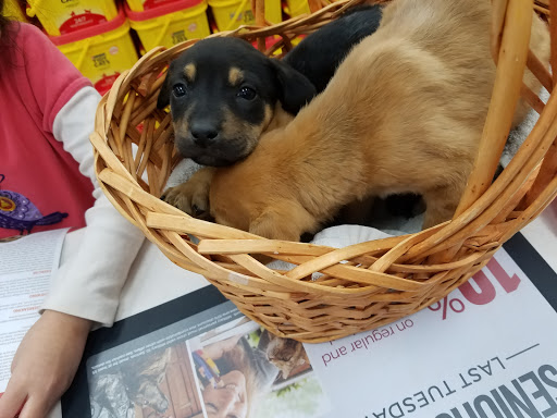 Pet Supply Store «Pet Supermarket», reviews and photos, 2090 E Arapaho Rd, Richardson, TX 75081, USA