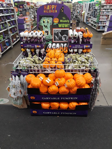 Dollar Store «Dollar Tree», reviews and photos, 10408 Trinity Pkwy a, Stockton, CA 95219, USA