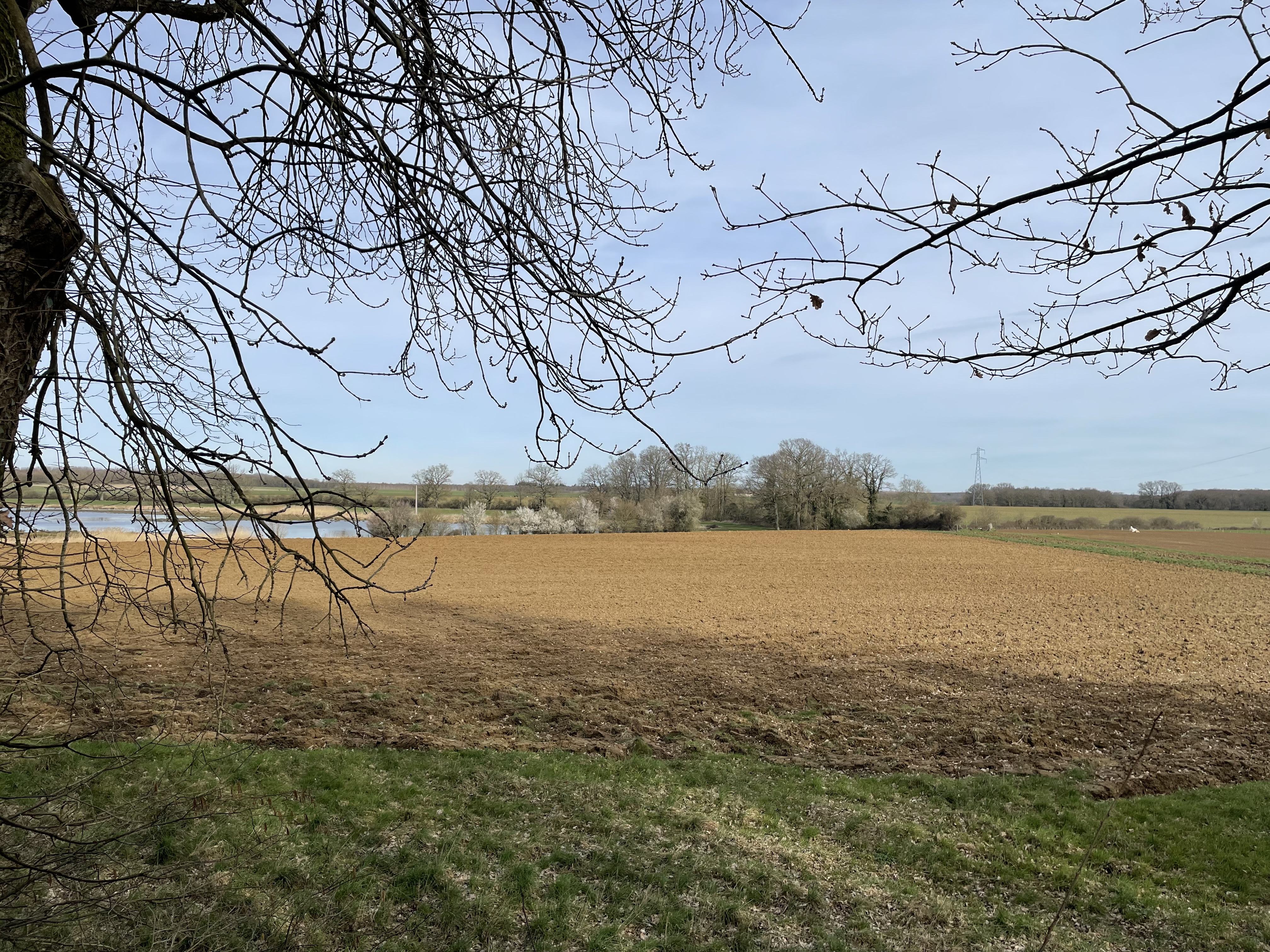Photo n° 2 de l'avis de Nicolas.a fait le 24/03/2023 à 08:55