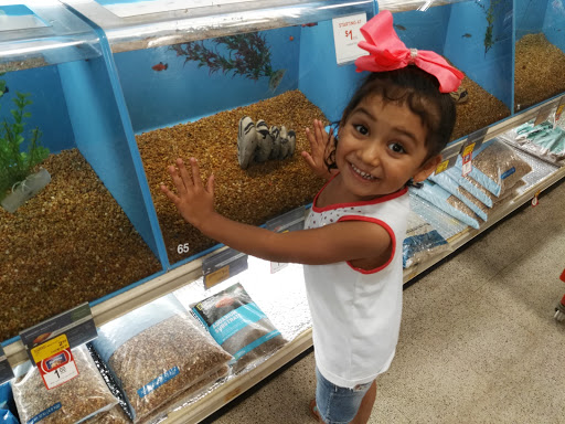 Pet Supply Store «PetSmart», reviews and photos, 1462 Jeffreys Rd, Rocky Mount, NC 27804, USA