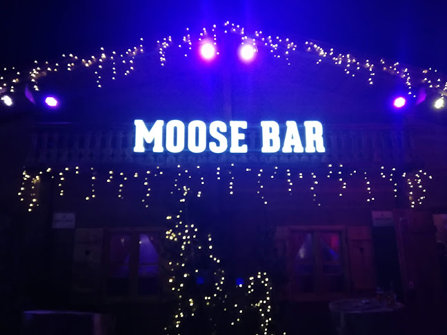 Moosebar Herentals - Bar