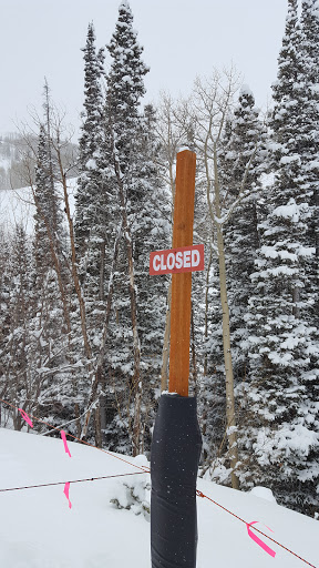 Amusement Park Ride «Park City Alpine Slide», reviews and photos, 1345 Lowell Ave, Park City, UT 84060, USA