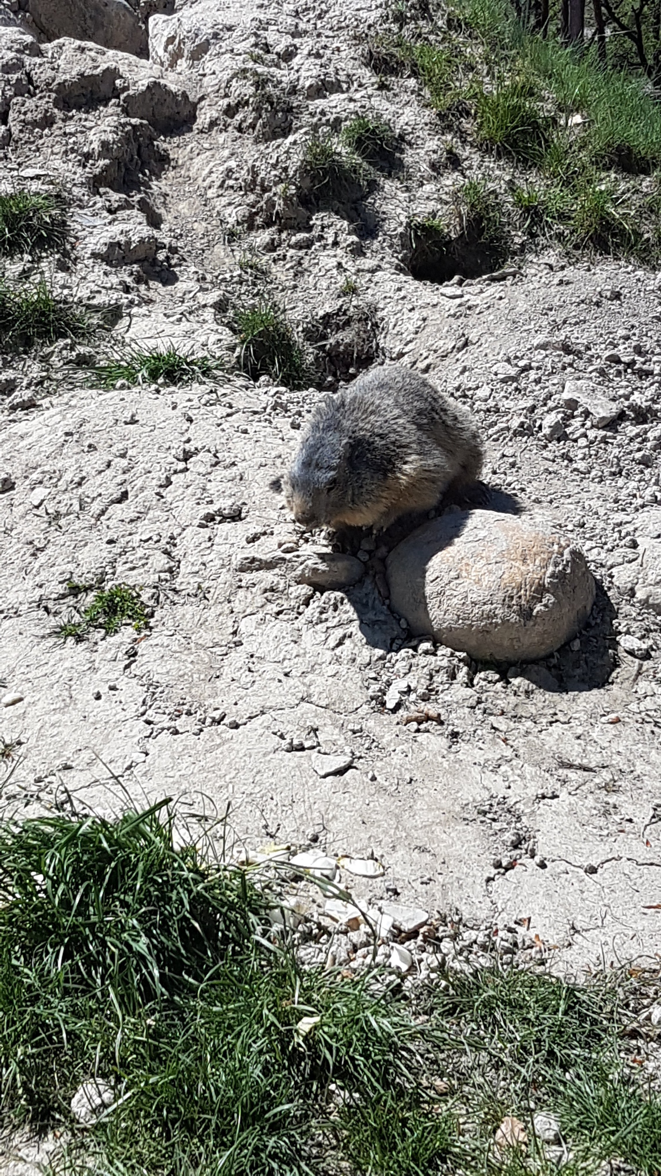 Photo n° 8 de l'avis de Maxence.o fait le 10/05/2018 à 07:26