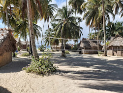 Islas Franklin Beach'in fotoğrafı geniş bir kıyı şeridi ile birlikte