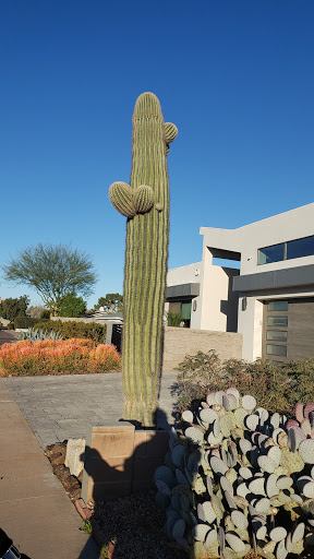 Social welfare center Scottsdale