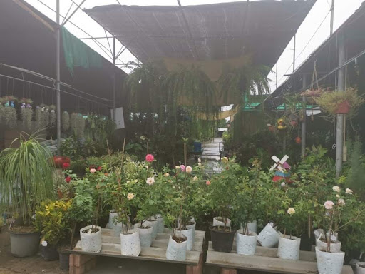 Ladkrabang Garden Center