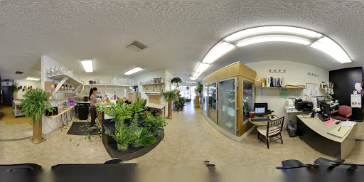Florist «Four Seasons Floral», reviews and photos, 2087 Drew St, Clearwater, FL 33765, USA