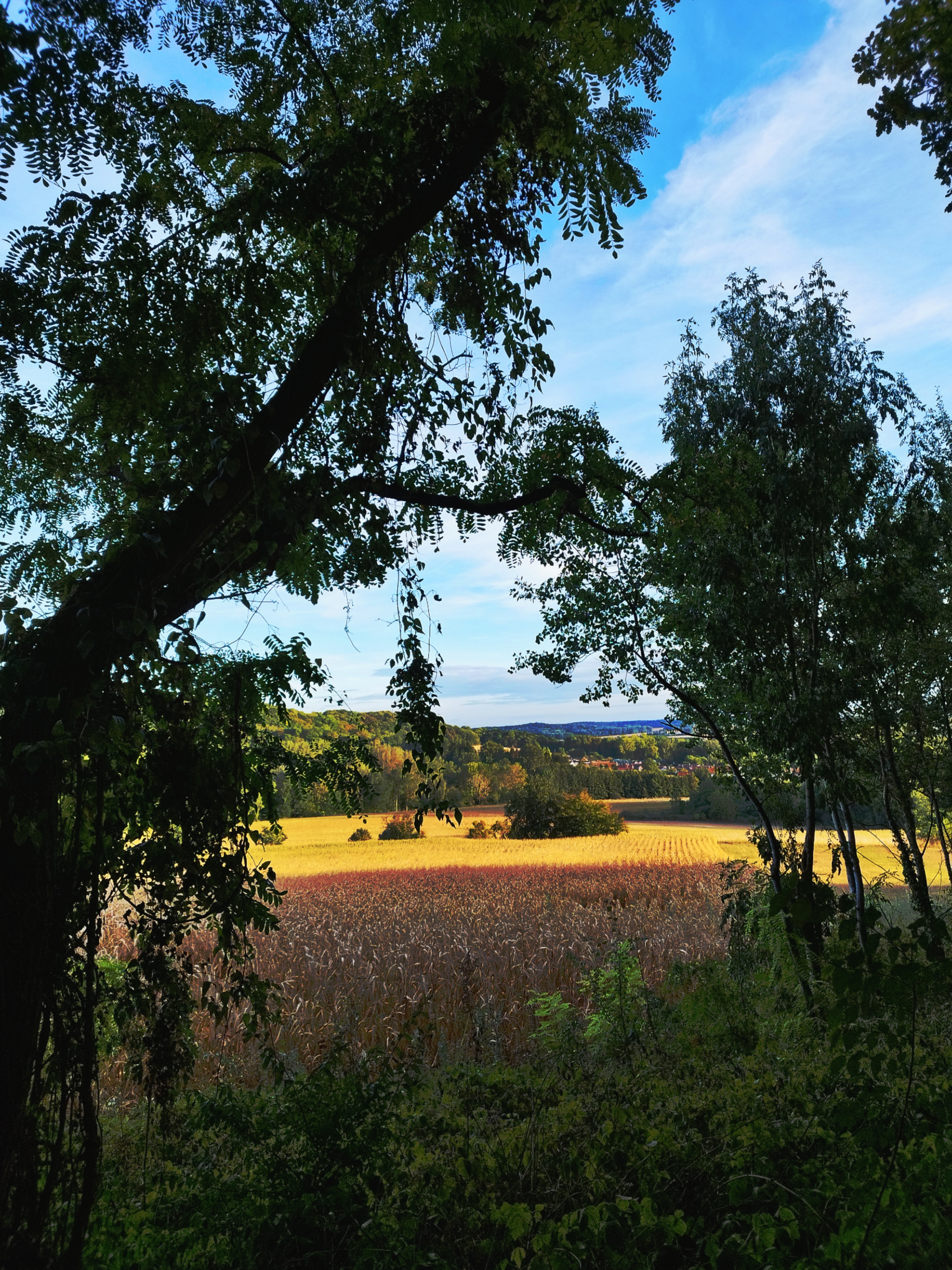 Photo n° 1 de l'avis de L'épicurieuse. fait le 07/09/2022 à 11:12