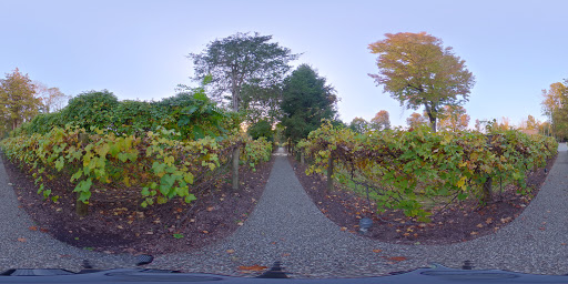 Live Music Venue «Caramoor Center for Music and the Arts», reviews and photos, 149 Girdle Ridge Rd, Katonah, NY 10536, USA