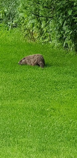 Golf Course «Michigan City Golf Course», reviews and photos, 4000 E Michigan Blvd, Michigan City, IN 46360, USA