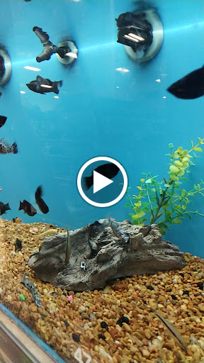 Pet Supply Store «PetSmart», reviews and photos, 67 Consumer Square, Plattsburgh, NY 12901, USA