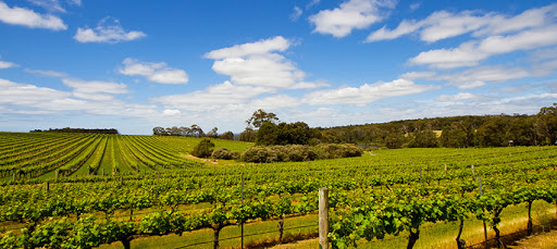 Swan Valley Limo Wine Tours