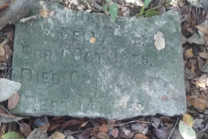 Burdett Praire Cemetery