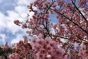 Mineonsen Daifunyu Park image