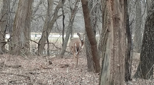 State Park «Brezina Woods», reviews and photos, N La Grange Rd, La Grange Park, IL 60526, USA