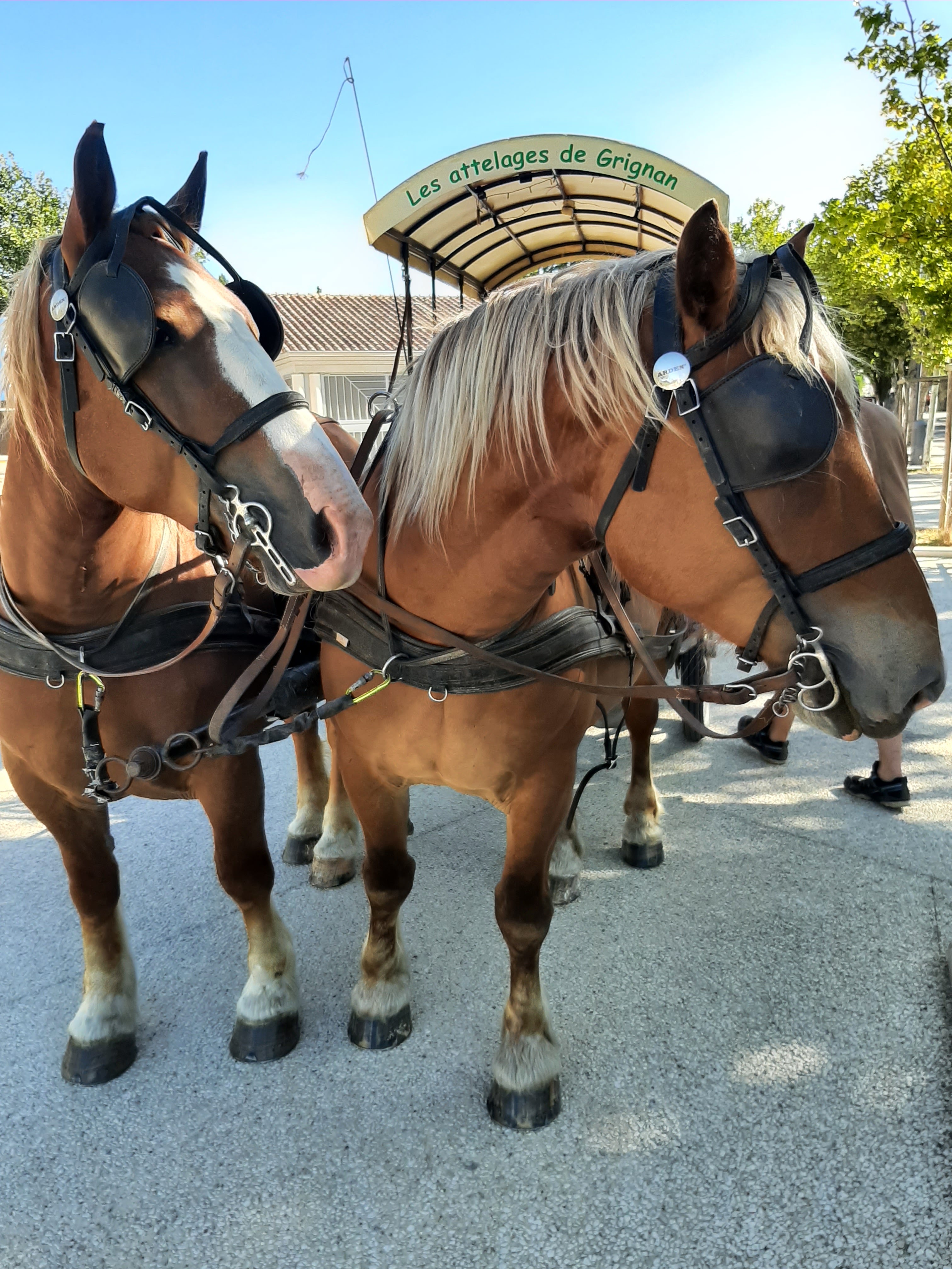 Photo n° 2 de l'avis de yores.r fait le 08/08/2023 à 12:09