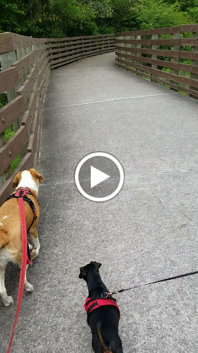 Tourist Attraction «Vickery Creek Falls Roswell Mill», reviews and photos, 95 Mill St, Roswell, GA 30075, USA