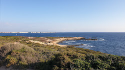 Capo Mannu Beach'in fotoğrafı geniş bir kıyı şeridi ile birlikte