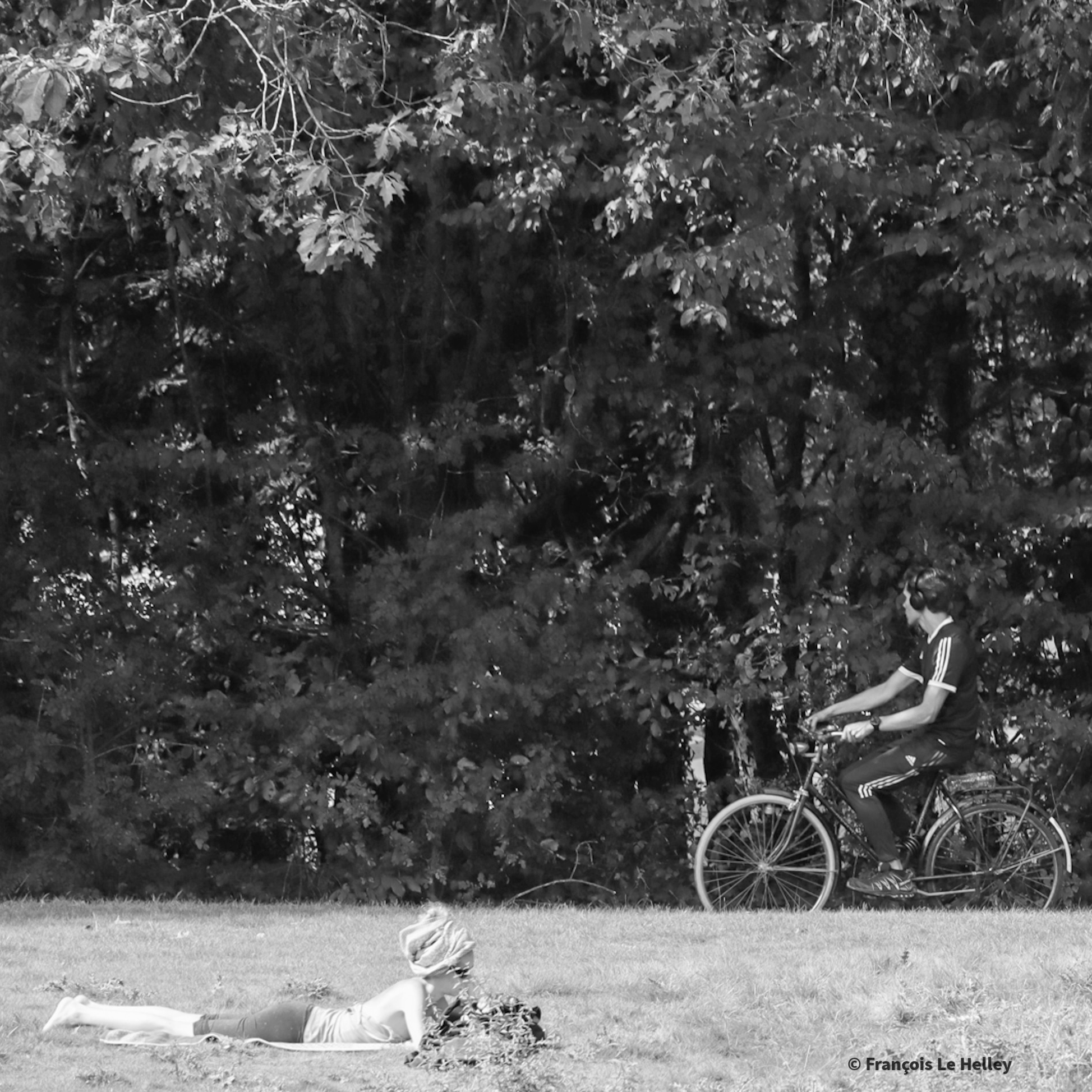 Photo n° 9 de l'avis de François.e fait le 20/09/2023 à 12:12