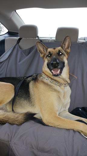 Pet Supply Store «PetSmart», reviews and photos, 790 Jefferson Rd #200, Rochester, NY 14623, USA