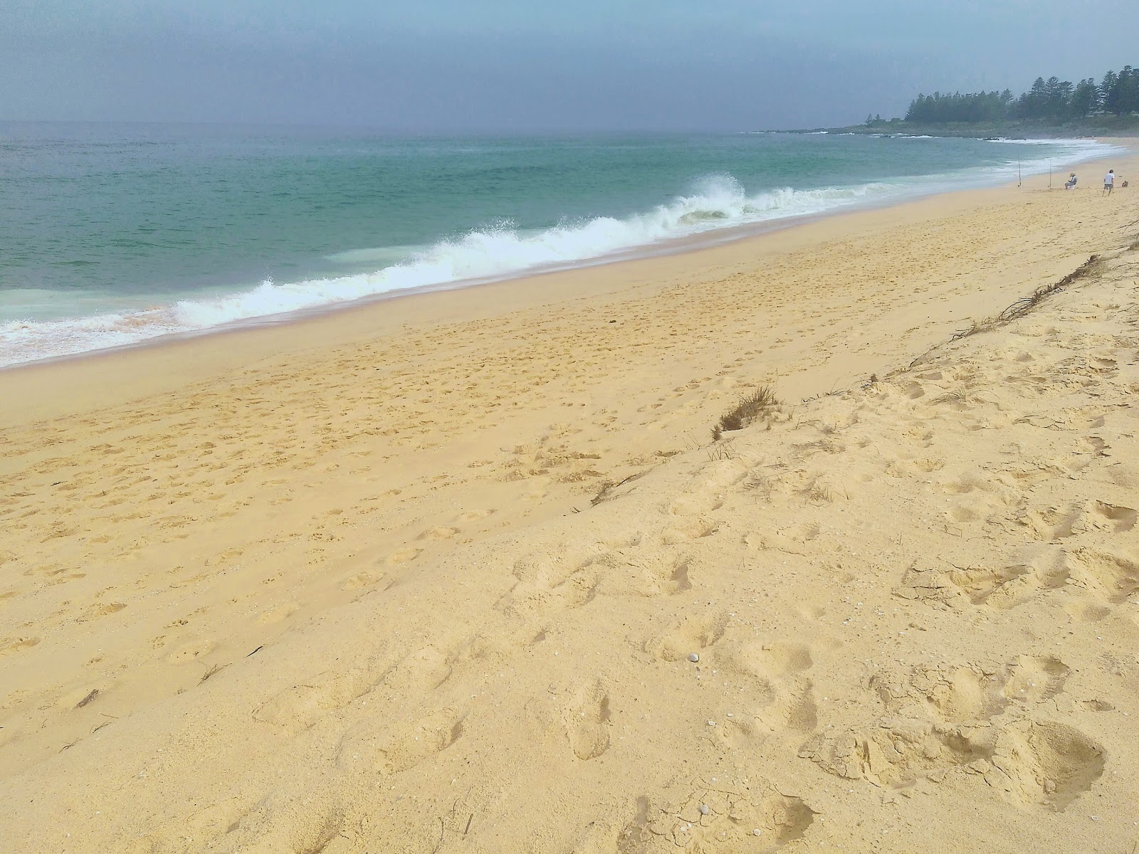 Foto van Coila Beach met turquoise puur water oppervlakte