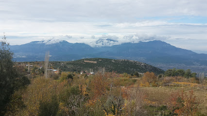 Yeşil Yaşam Restorant