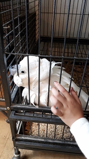 Pet Store «Critter Cabana», reviews and photos, 516 E 1st St, Newberg, OR 97132, USA