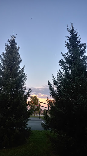 Community Park «Gregory B. Bott Community Park», reviews and photos, 24550 W Renwick Rd, Plainfield, IL 60544, USA