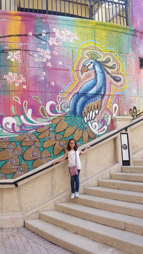 Movie Theater «AMC Sunset Place 24», reviews and photos, 5701 Sunset Dr #300, South Miami, FL 33143, USA