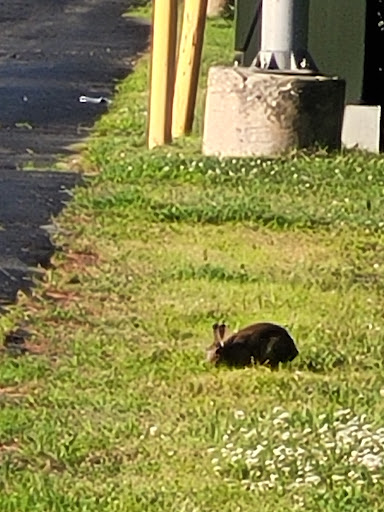 Bar & Grill «Boston Billiard Club & Casino», reviews and photos, 55 Northeastern Blvd, Nashua, NH 03062, USA