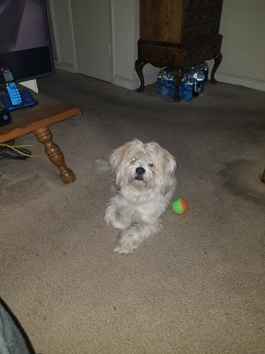 Pet Supply Store «Pet Supplies Plus», reviews and photos, 1411 S Stockton St, Lodi, CA 95240, USA