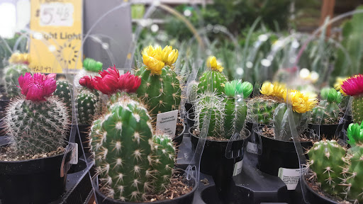 Home Improvement Store «The Home Depot», reviews and photos, 26120 104th Ave SE, Kent, WA 98031, USA