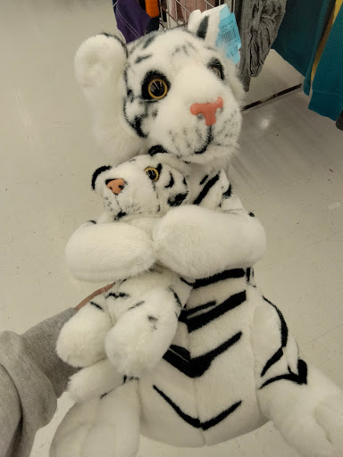 Thrift Store «Arc Thrift Store», reviews and photos, 9131 Washington St, Thornton, CO 80229, USA