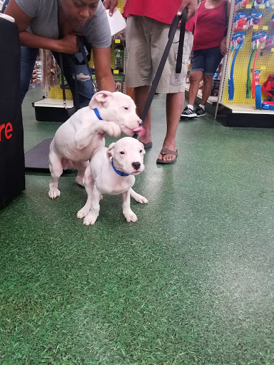 Pet Supply Store «Pet Supermarket», reviews and photos, 3821 S Cobb Dr, Smyrna, GA 30080, USA