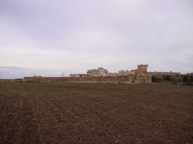 Soc. Agr. Castell Favorito Contrada Santoria Vecchia, Torre Santa Susanna BR, Italia