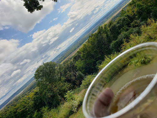 Winery «Montelle Winery», reviews and photos, 201 Montelle Dr, Augusta, MO 63332, USA