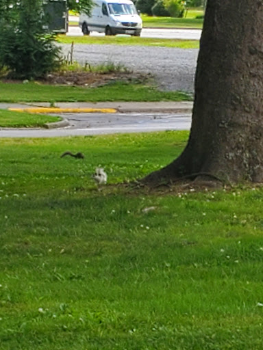 College «Brevard College», reviews and photos