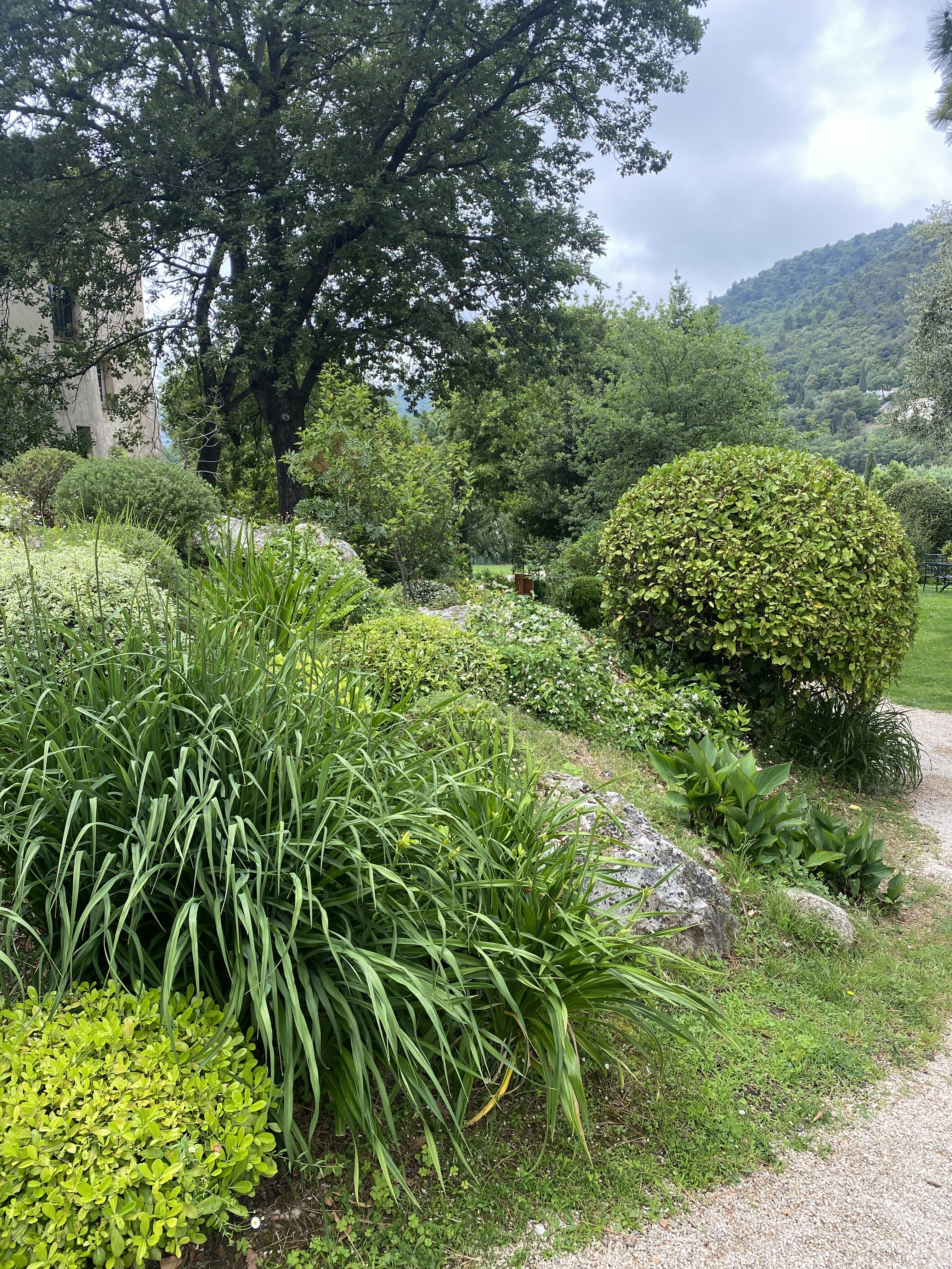 Photo n° 42 de l'avis de Aurore.e fait le 11/06/2023 à 16:29