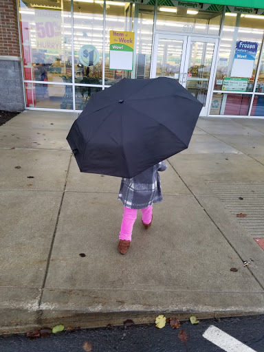 Dollar Store «Dollar Tree», reviews and photos, 570 W 300 N, Warsaw, IN 46582, USA