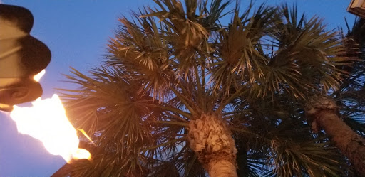 Lounge «The Tini Martini Bar», reviews and photos, 24 Avenida Menendez, St Augustine, FL 32084, USA