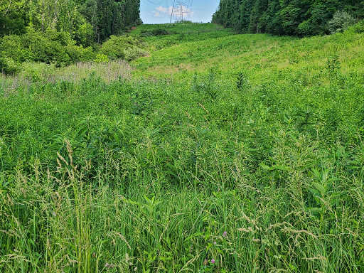 Park «Keehner park», reviews and photos, 7411 Barret Rd, West Chester Township, OH 45069, USA