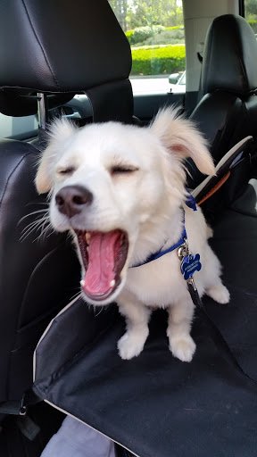 Pet Supply Store «PetSmart», reviews and photos, 30515 Av. de Las Flores, Rancho Santa Margarita, CA 92688, USA