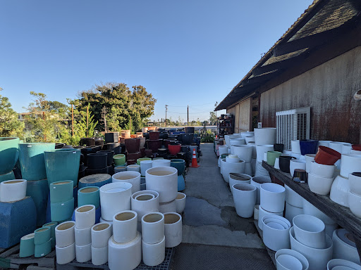 Plant Nursery «San Gabriel Nursery & Florist», reviews and photos, 632 S San Gabriel Blvd, San Gabriel, CA 91776, USA