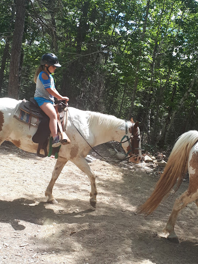 Kicking Mule riding stables