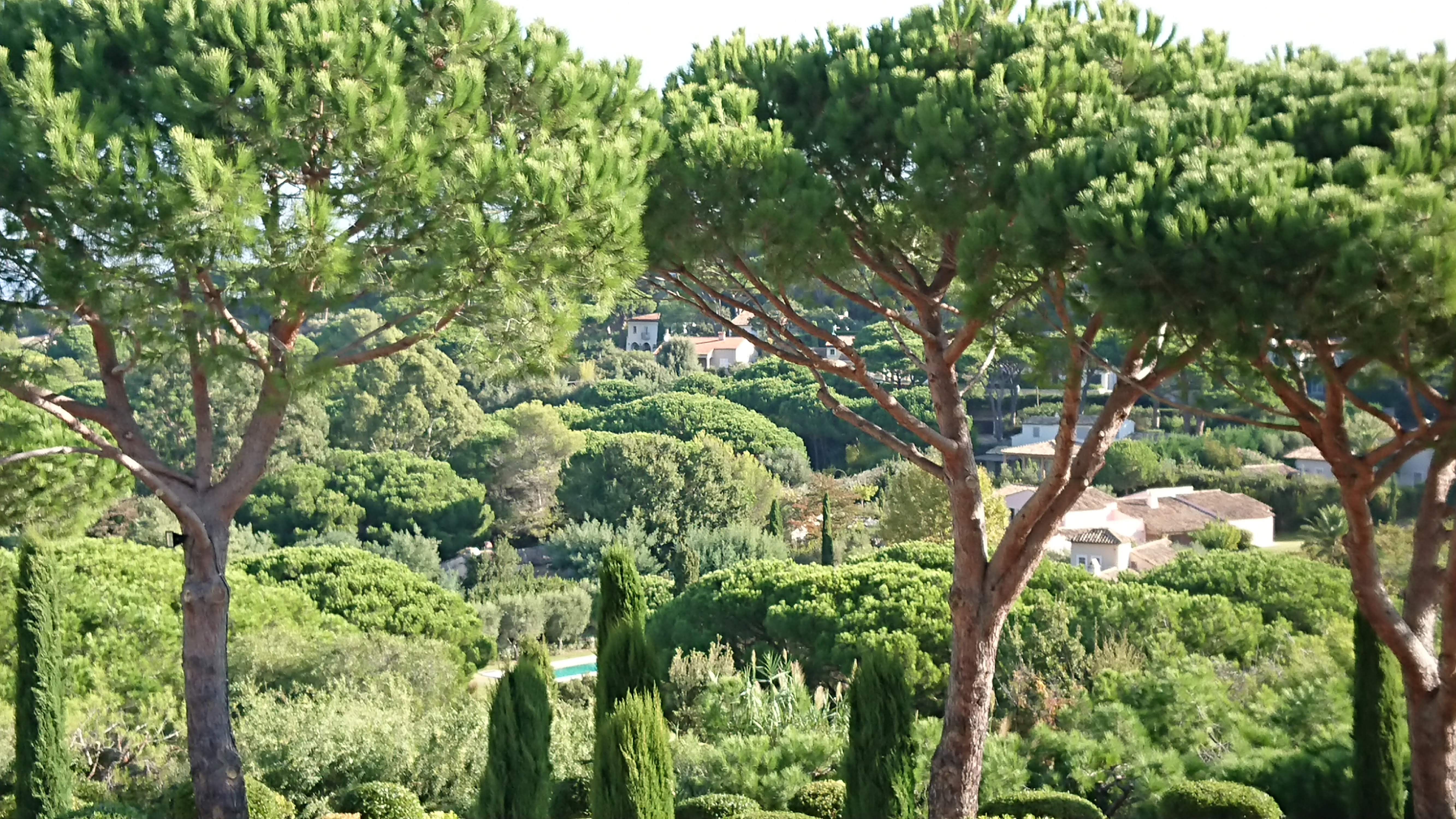 Photo n° 38 de l'avis de Christine.e fait le 05/10/2018 à 13:06