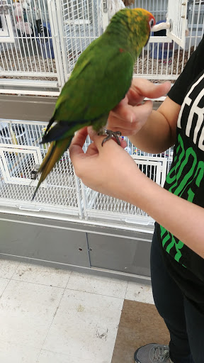 Pet Supply Store «Pet Supplies Plus», reviews and photos, 500 S St W, Raynham, MA 02767, USA