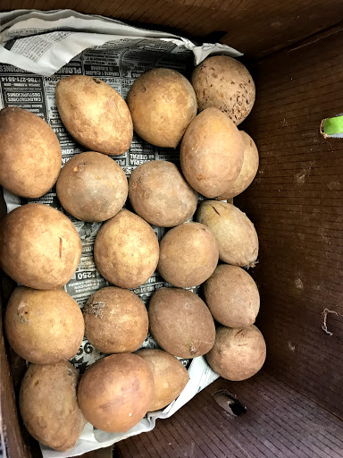 Asian Grocery Store «My Hoa Oriental Food Market», reviews and photos, 454 Azalea Rd, Mobile, AL 36609, USA